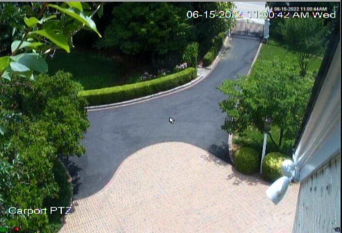 preview: live webcam  in Raleigh