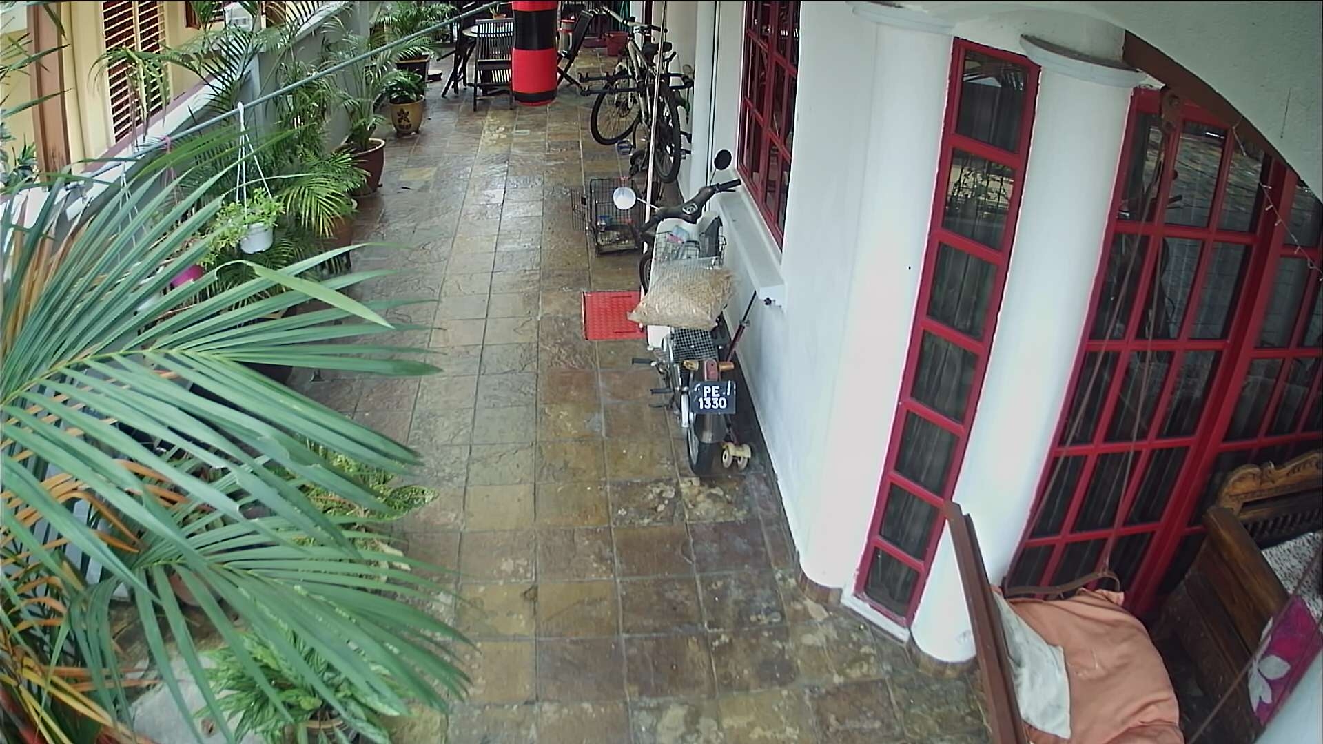 preview: live webcam view George Town