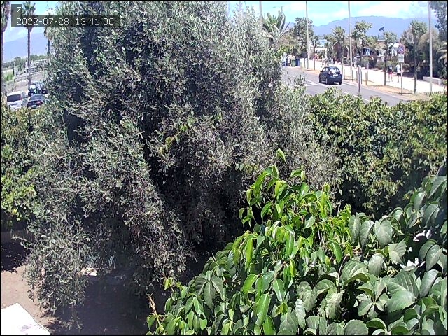 preview: IP camera - Olbia