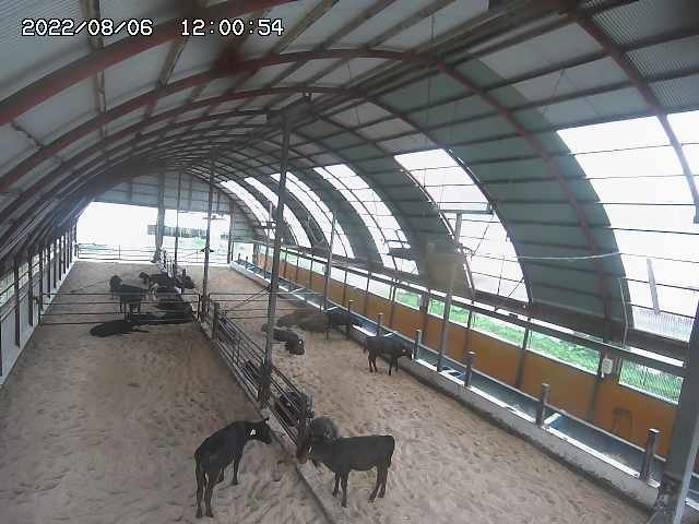 preview: webcam view in Toyohashi