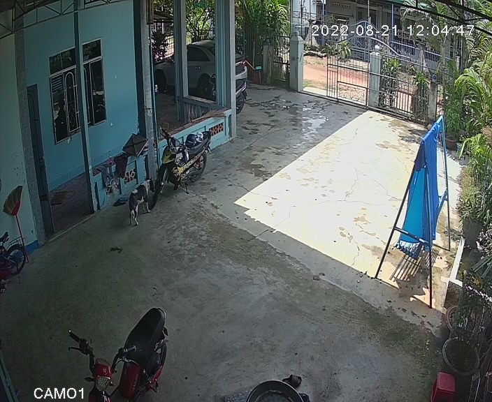 preview: IP camera - Phan Thiet