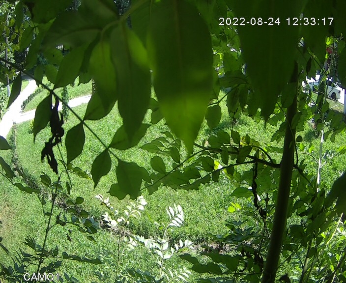 preview: webcam view in Vladikavkaz