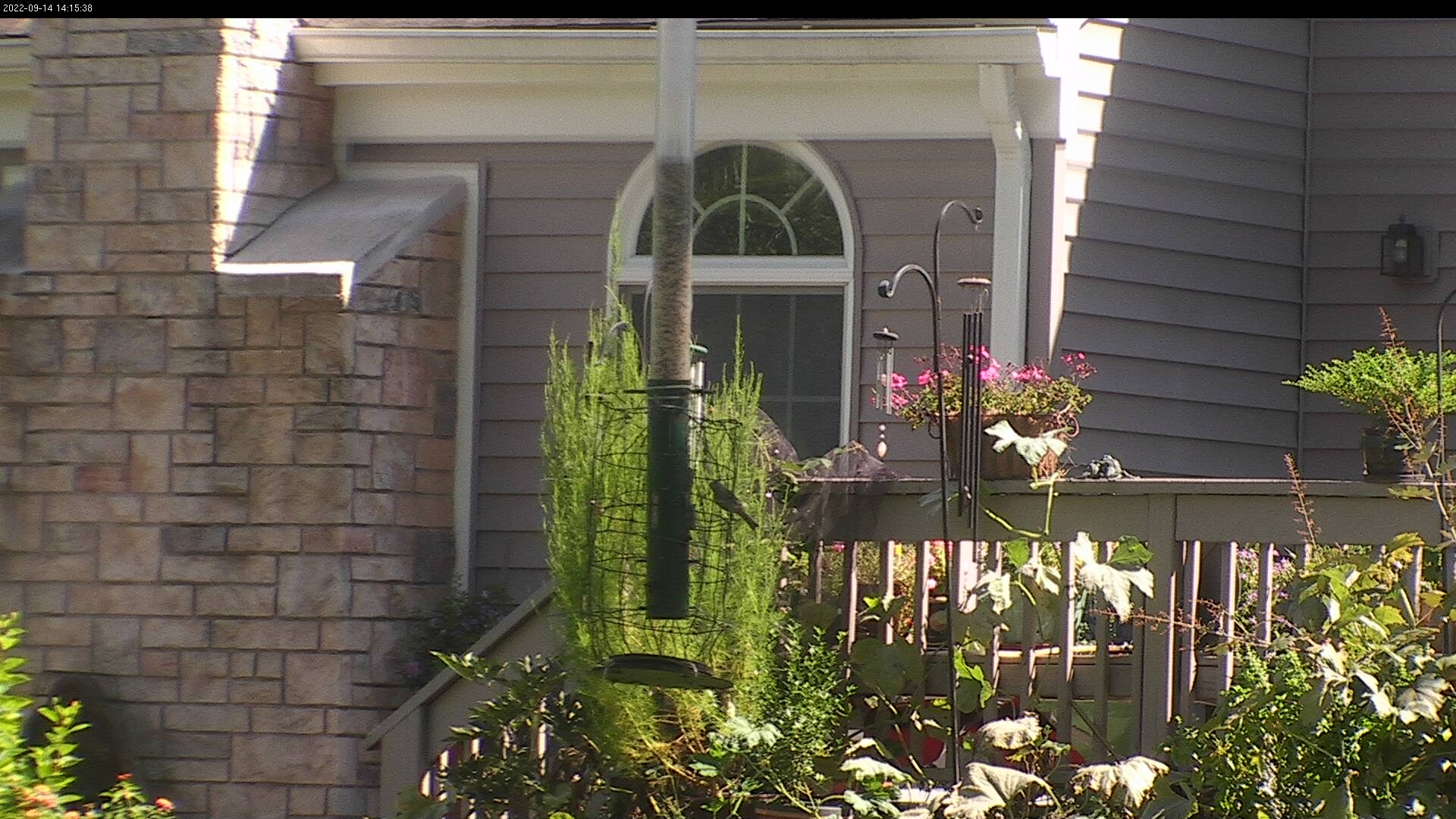 preview: webcam view in Trenton
